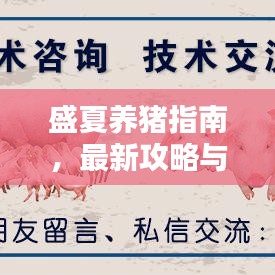 盛夏養(yǎng)豬指南，最新攻略與技巧