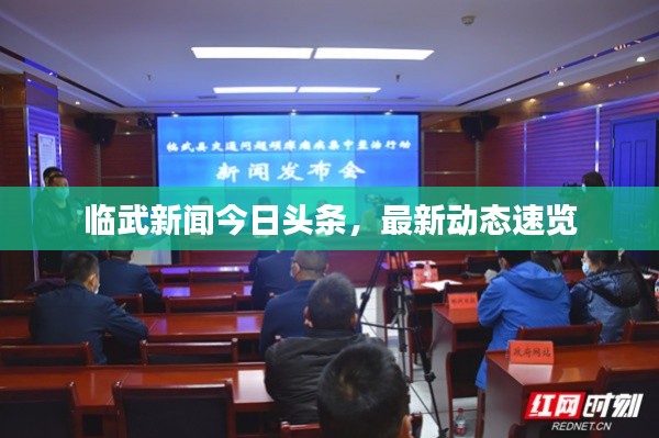 臨武新聞今日頭條，最新動(dòng)態(tài)速覽