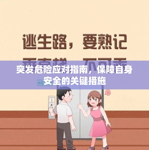 突發(fā)危險應(yīng)對指南，保障自身安全的關(guān)鍵措施