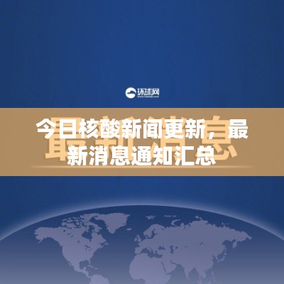 今日核酸新聞更新，最新消息通知匯總