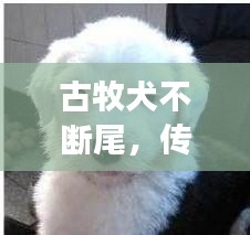 鳶飛魚躍