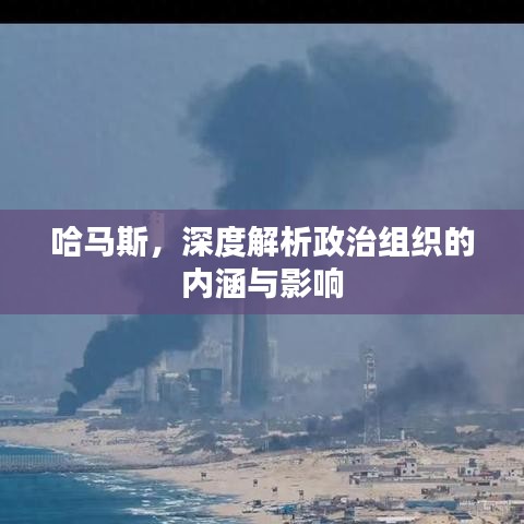 哈馬斯，深度解析政治組織的內(nèi)涵與影響