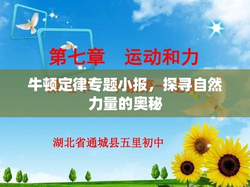 牛頓定律專題小報，探尋自然力量的奧秘