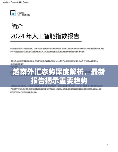 越南外匯態(tài)勢深度解析，最新報(bào)告揭示重要趨勢