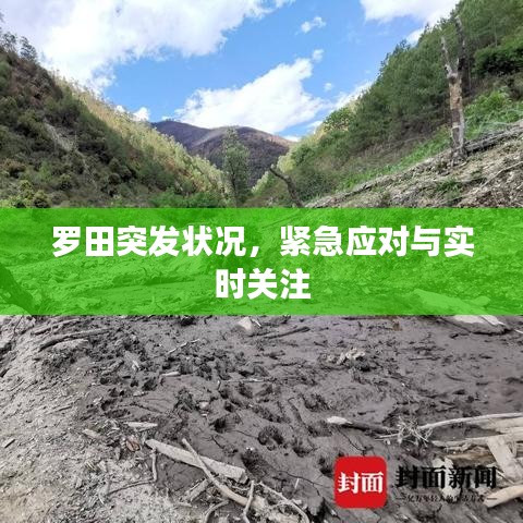 羅田突發(fā)狀況，緊急應(yīng)對(duì)與實(shí)時(shí)關(guān)注