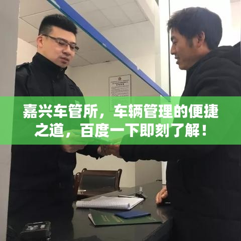 嘉興車管所，車輛管理的便捷之道，百度一下即刻了解！