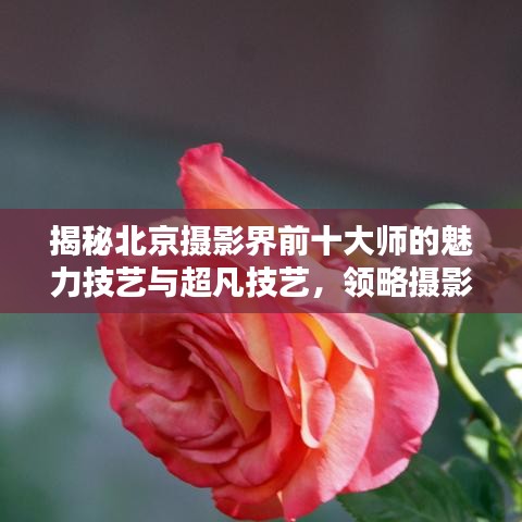 揭秘北京攝影界前十大師的魅力技藝與超凡技藝，領(lǐng)略攝影藝術(shù)之美