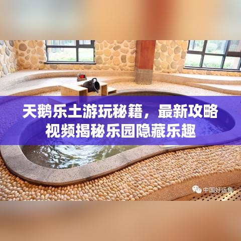 天鵝樂(lè)土游玩秘籍，最新攻略視頻揭秘樂(lè)園隱藏樂(lè)趣