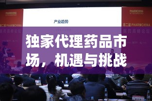 獨(dú)家代理藥品市場(chǎng)，機(jī)遇與挑戰(zhàn)的探索之路