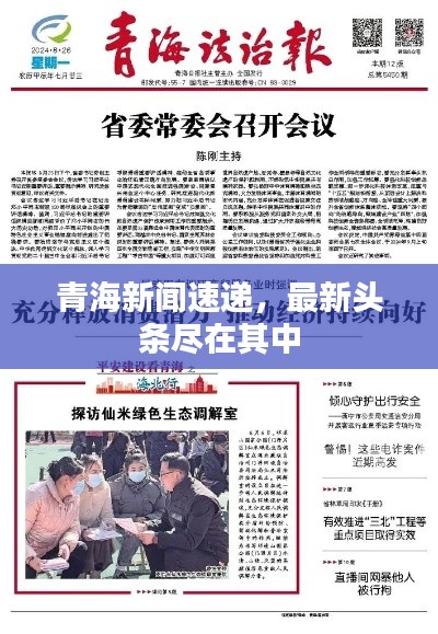 青海新聞速遞，最新頭條盡在其中