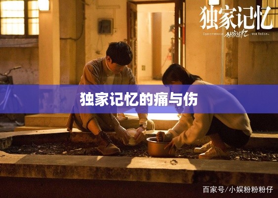 獨(dú)家記憶的痛與傷