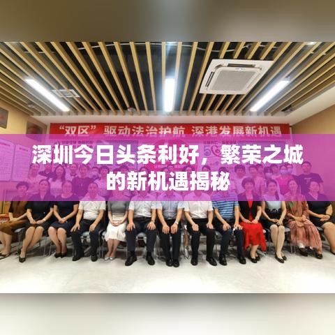 深圳今日頭條利好，繁榮之城的新機(jī)遇揭秘