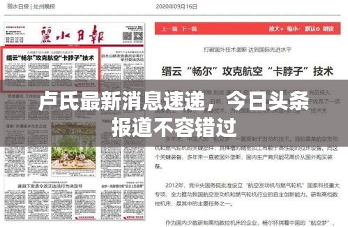 盧氏最新消息速遞，今日頭條報道不容錯過