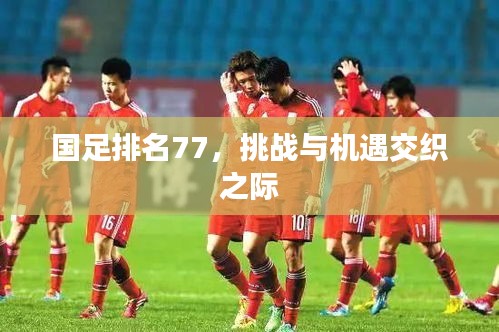 國(guó)足排名77，挑戰(zhàn)與機(jī)遇交織之際