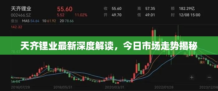 天齊鋰業(yè)最新深度解讀，今日市場走勢(shì)揭秘