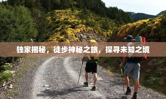 獨(dú)家揭秘，徒步神秘之旅，探尋未知之境