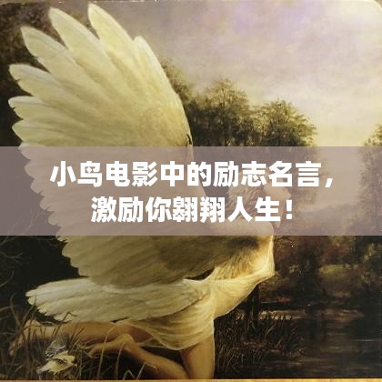 不堪造就