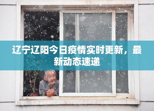 遼寧遼陽今日疫情實時更新，最新動態(tài)速遞