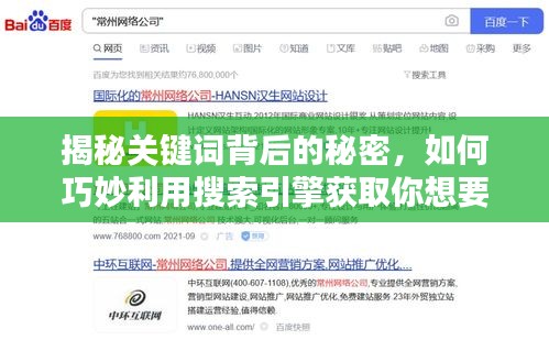 揭秘關(guān)鍵詞背后的秘密，如何巧妙利用搜索引擎獲取你想要的信息