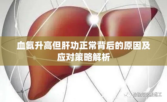 血氨升高但肝功正常背后的原因及應對策略解析