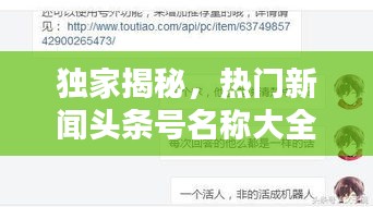 獨(dú)家揭秘，熱門新聞?lì)^條號(hào)名稱大全，一網(wǎng)打盡！