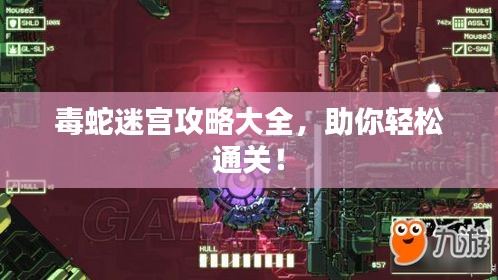 毒蛇迷宮攻略大全，助你輕松通關！