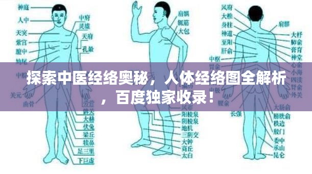 探索中醫(yī)經(jīng)絡(luò)奧秘，人體經(jīng)絡(luò)圖全解析，百度獨(dú)家收錄！