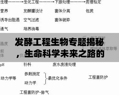 發(fā)酵工程生物專題揭秘，生命科學(xué)未來之路的探索之旅