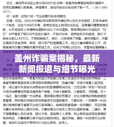 蓋州詐騙案揭秘，最新新聞報(bào)道與細(xì)節(jié)曝光
