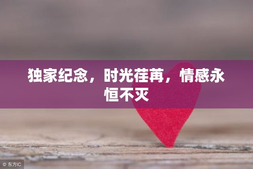 獨家紀念，時光荏苒，情感永恒不滅