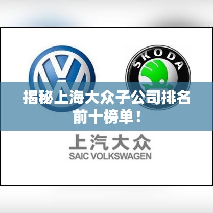 揭秘上海大眾子公司排名前十榜單！