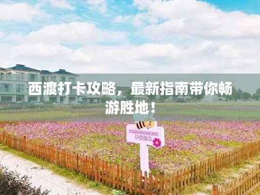 西渡打卡攻略，最新指南帶你暢游勝地！