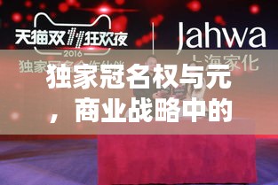 獨(dú)家冠名權(quán)與元，商業(yè)戰(zhàn)略中的核心要素揭秘