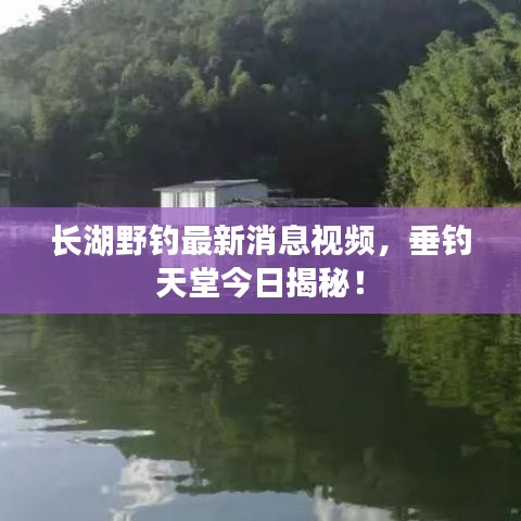 長湖野釣最新消息視頻，垂釣天堂今日揭秘！