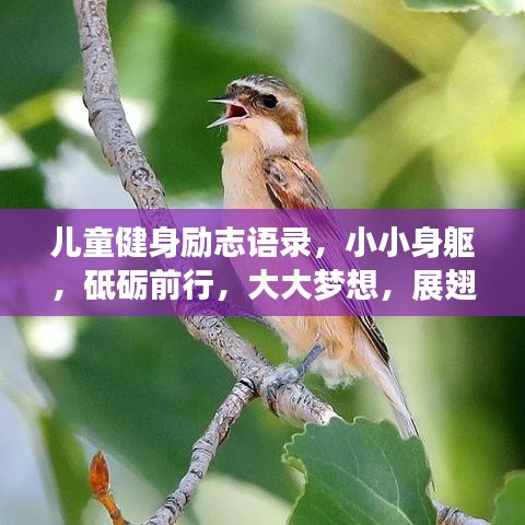 小家碧玉