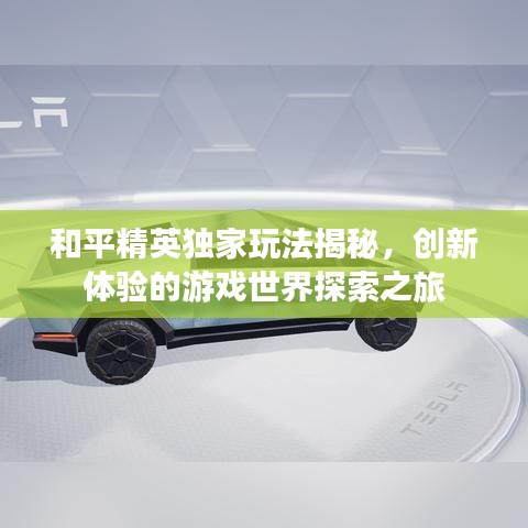 和平精英獨(dú)家玩法揭秘，創(chuàng)新體驗(yàn)的游戲世界探索之旅