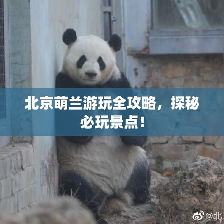 北京萌蘭游玩全攻略，探秘必玩景點(diǎn)！