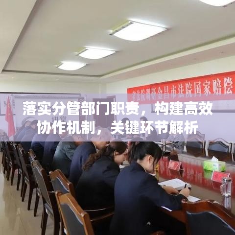落實分管部門職責(zé)，構(gòu)建高效協(xié)作機(jī)制，關(guān)鍵環(huán)節(jié)解析