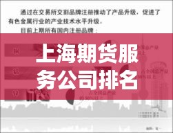 上海期貨服務公司排名揭秘，影響力深度解析