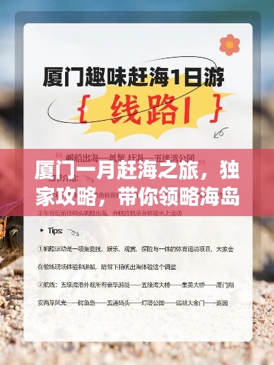 廈門一月趕海之旅，獨家攻略，帶你領略海島風情！