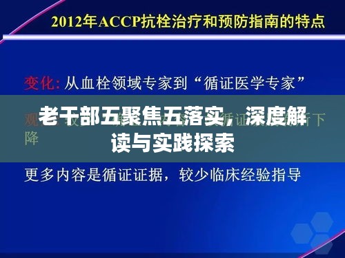 老干部五聚焦五落實，深度解讀與實踐探索