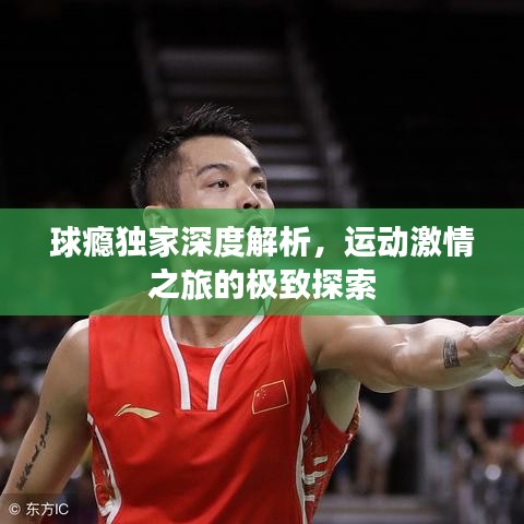 球癮獨家深度解析，運動激情之旅的極致探索