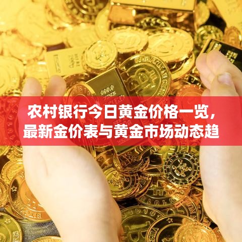 農(nóng)村銀行今日黃金價格一覽，最新金價表與黃金市場動態(tài)趨勢深度解析
