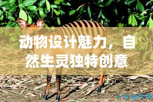 動物設計魅力，自然生靈獨特創(chuàng)意展現(xiàn)