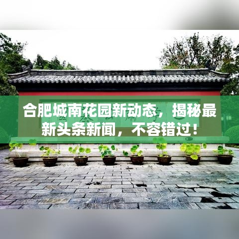 合肥城南花園新動(dòng)態(tài)，揭秘最新頭條新聞，不容錯(cuò)過(guò)！