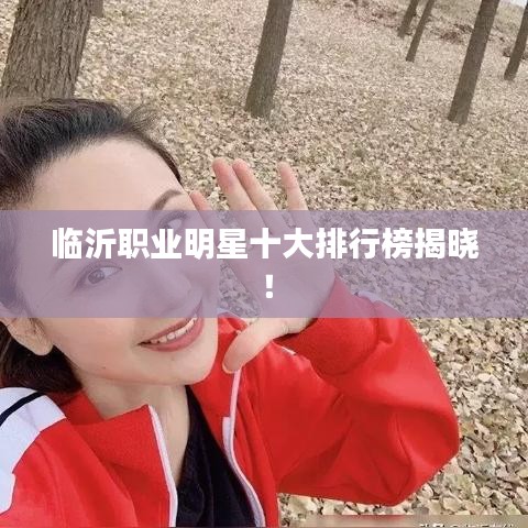臨沂職業(yè)明星十大排行榜揭曉！