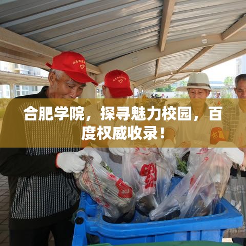 合肥學(xué)院，探尋魅力校園，百度權(quán)威收錄！