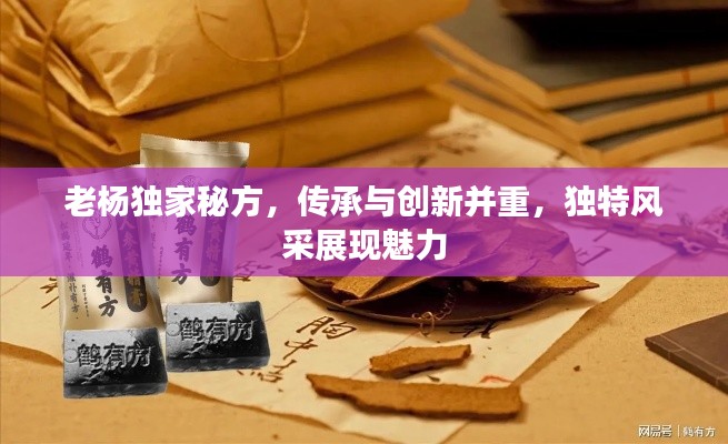老楊獨(dú)家秘方，傳承與創(chuàng)新并重，獨(dú)特風(fēng)采展現(xiàn)魅力