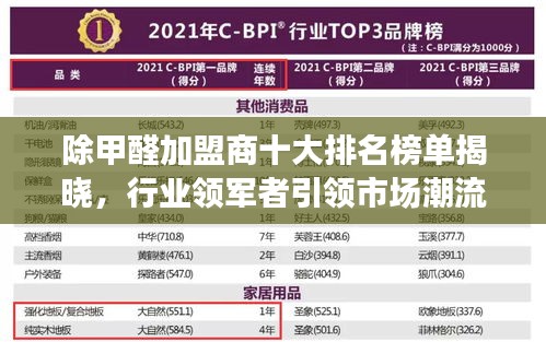 除甲醛加盟商十大排名榜單揭曉，行業(yè)領軍者引領市場潮流