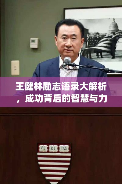 王健林勵(lì)志語(yǔ)錄大解析，成功背后的智慧與力量